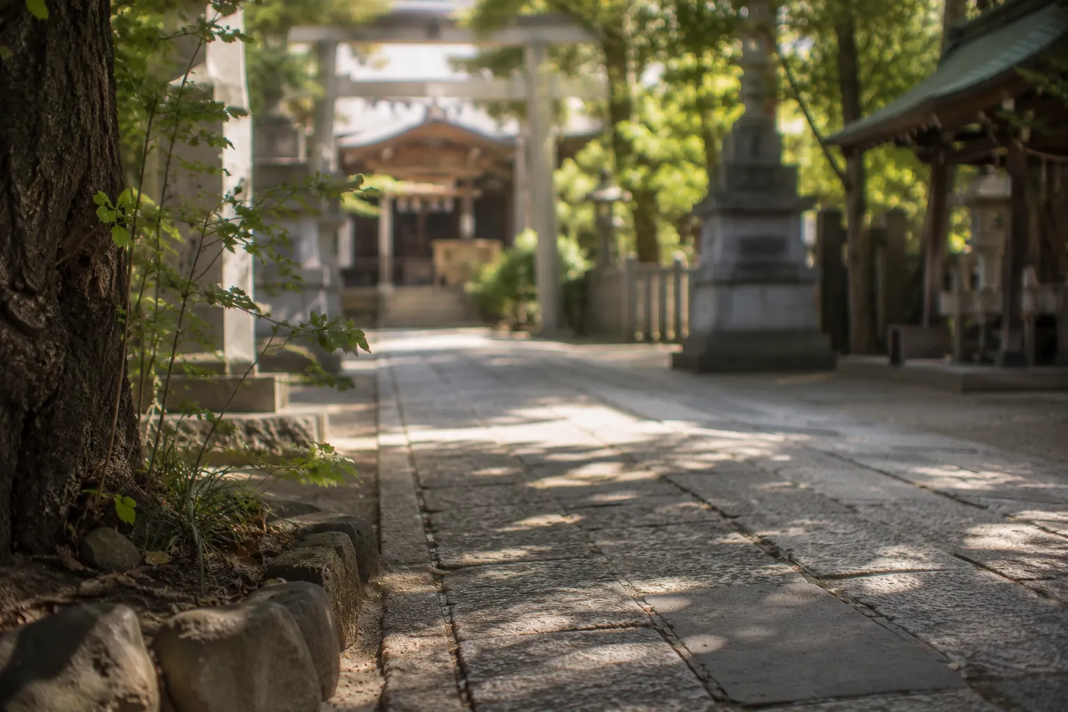 木漏れ日の神社参道を写した七五三参拝の参考イメージ