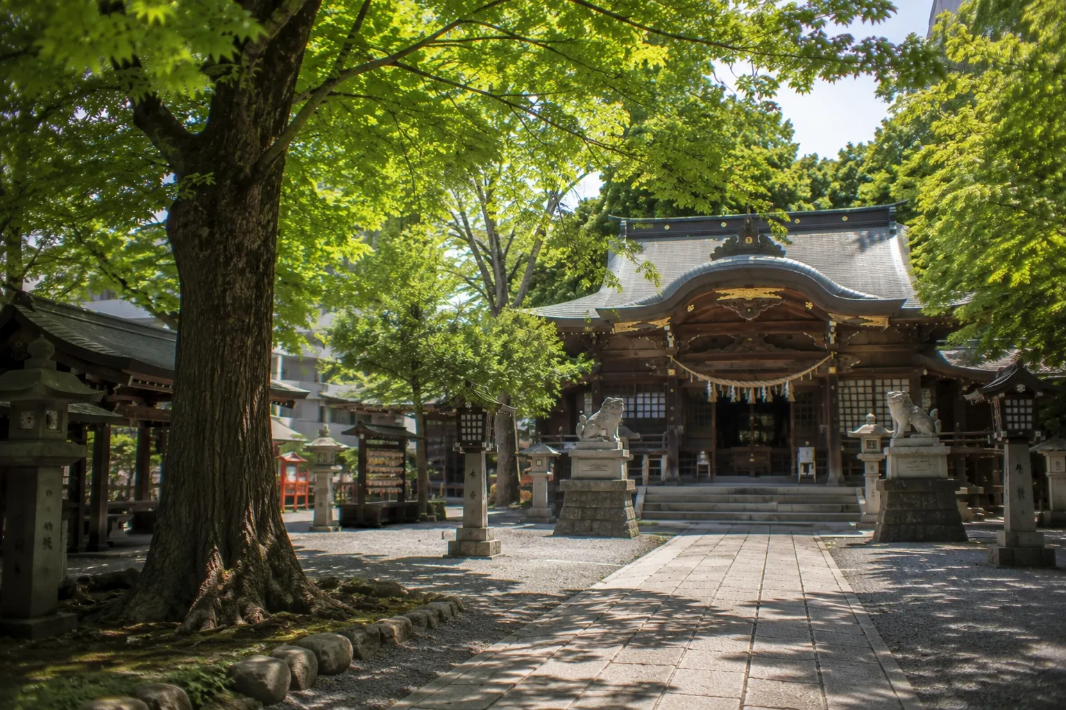 静かな神社参道の七五三参拝参考イメージ