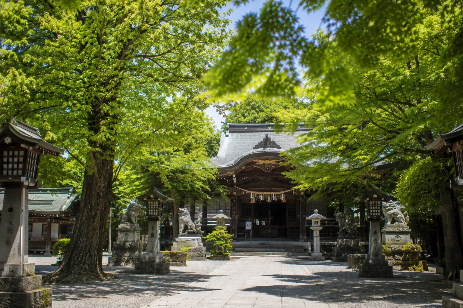 緑に包まれた神社拝殿の七五三参拝参考イメージ