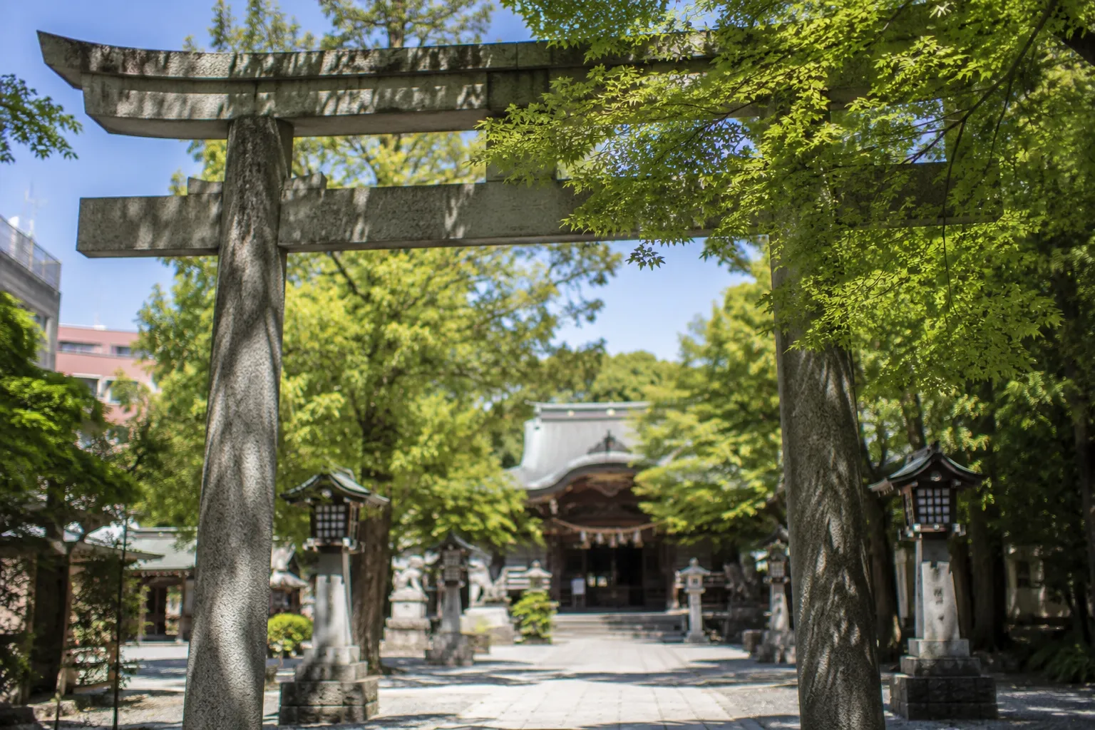木漏れ日の鳥居を写した七五三参拝参考イメージ
