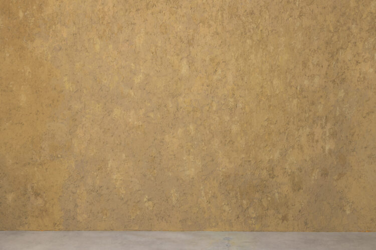 スタジオ背景　黄色がリニューアル！