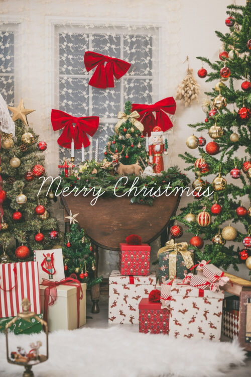 クリスマス撮影会