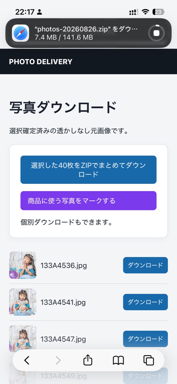 ZIPファイルをダウンロード中の画面